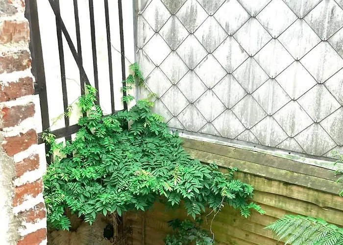 Apartment La Black / Les Romantiques A Centre Historique Honfleur