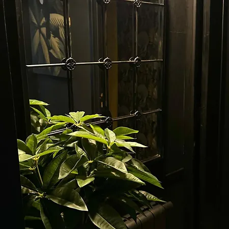 La Black / Les Romantiques A Centre Historique Honfleur