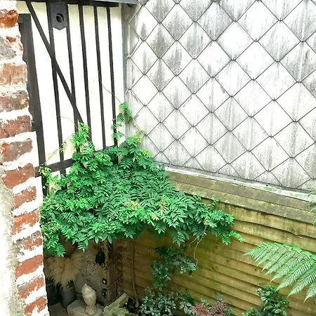 Lägenhet La Black / Les Romantiques A Centre Historique Honfleur