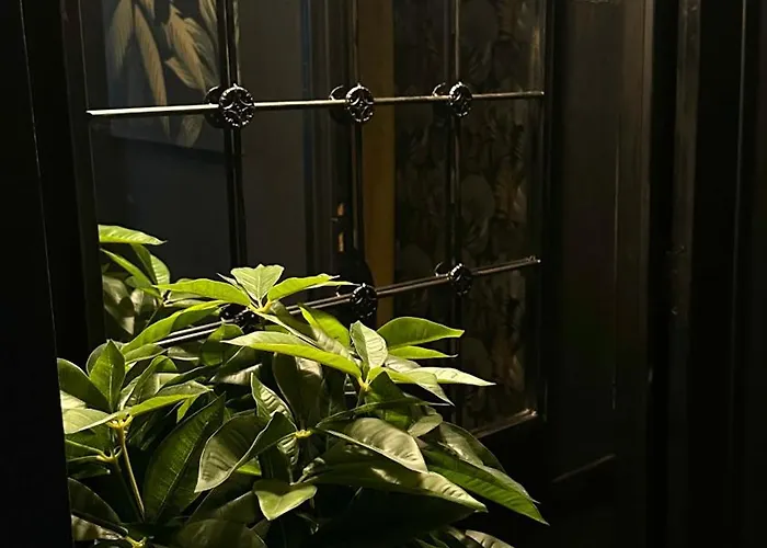 La Black / Les Romantiques à Centre Historique Honfleur